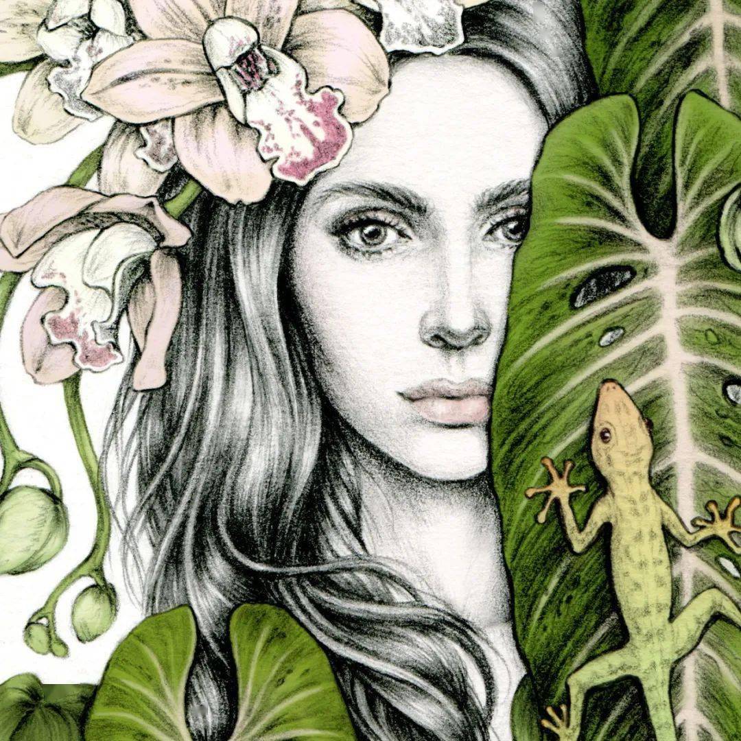 精致时尚女性素描上色太美了