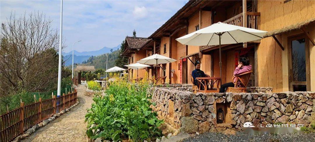 上堡梯田金秋十月最美观赏季邂逅万亩梯田最绚丽的样子