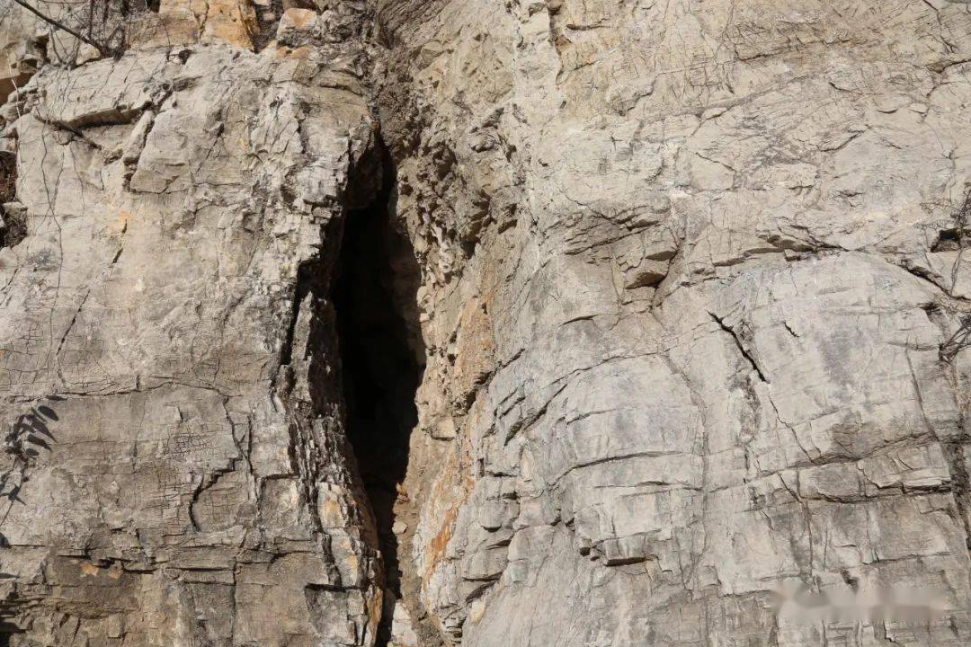 探密全国重点文物保护单位喀左鸽子洞遗址