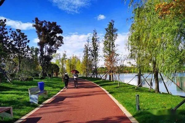 秋高气爽 乌蒙水乡公园呈现出另一种美