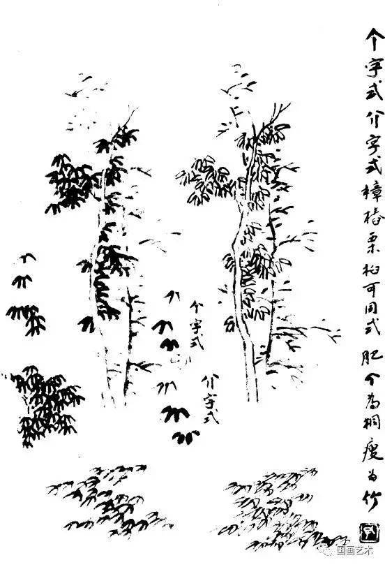 百树画谱值得收藏备用