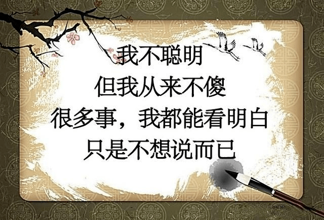 我不聪明,但我不傻