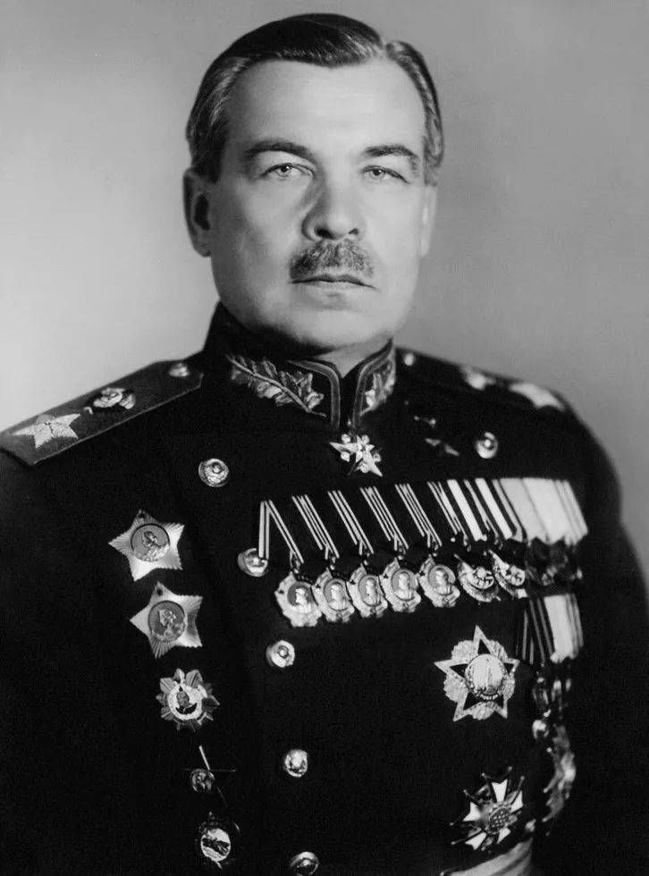精选好图:苏联元帅戈沃罗夫