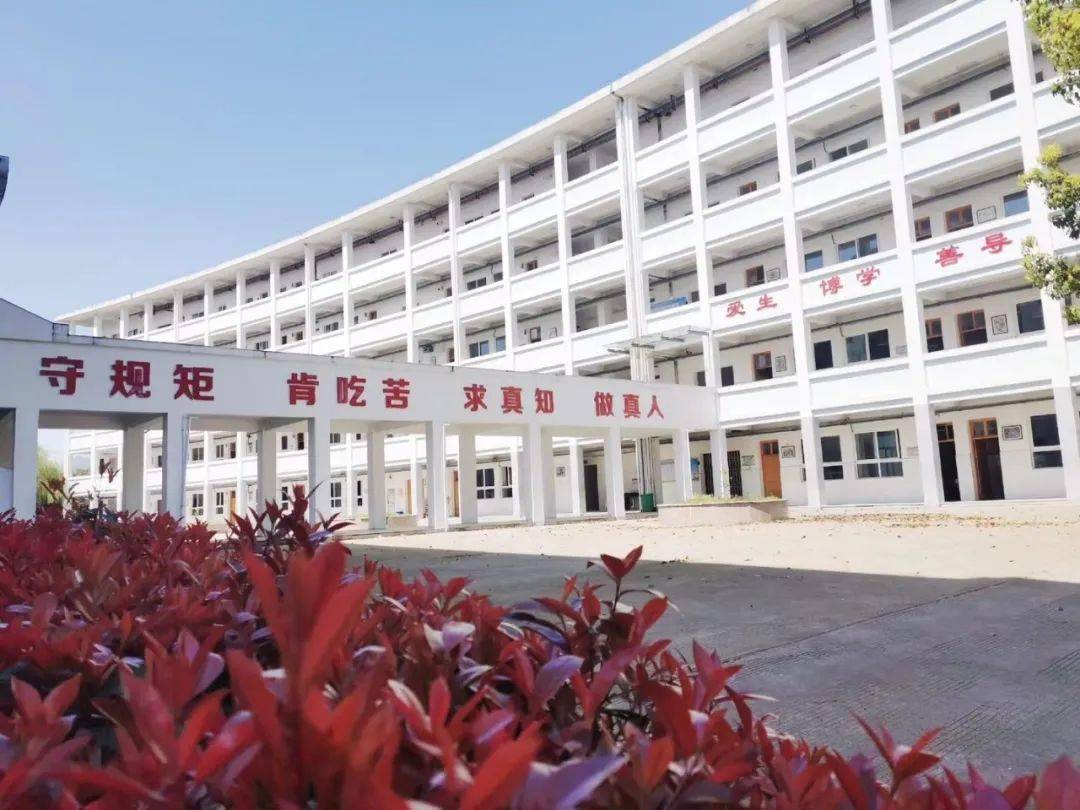 新建中学周教研动态