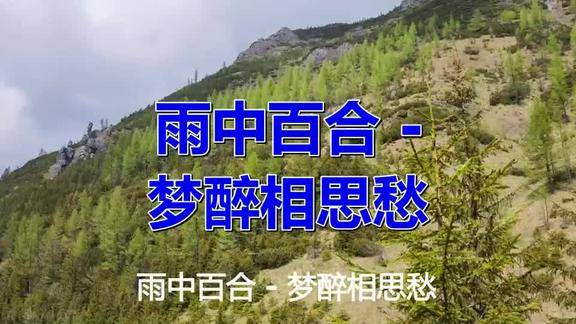 雨中百合一首《梦醉相思愁》,听完愁更愁,只盼梦中人儿早日归