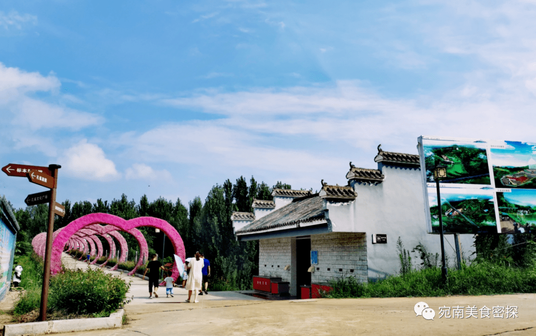 11月1日 淅川孔雀青少年研学一日游99元/人