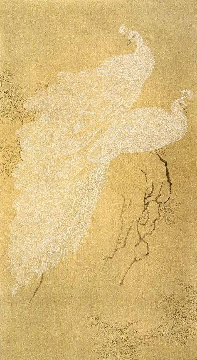 美丽吉祥白孔雀的画法