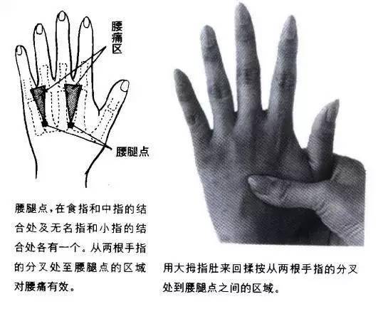 伏掌,在手背侧,当第2,3掌骨及第4,5掌骨之间,当腕横纹与掌指关节中点