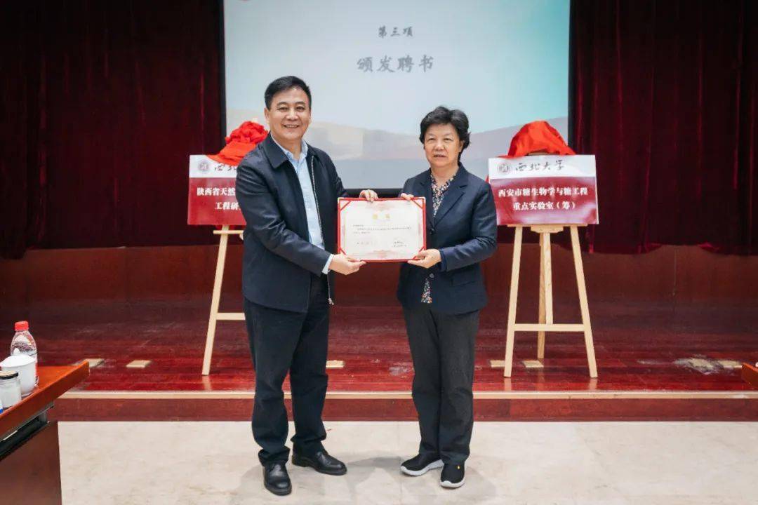 西北大学这一系列新动作,赞就对了!