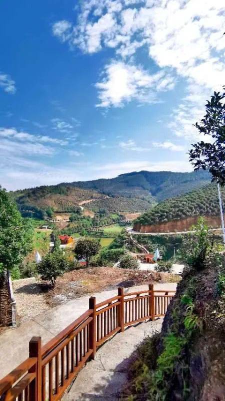 市杂文学会赴东湖圩镇采风