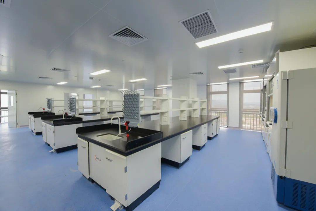 03项目难点省小分子新药创新中心作为全新医药研发空间,关乎着人类的