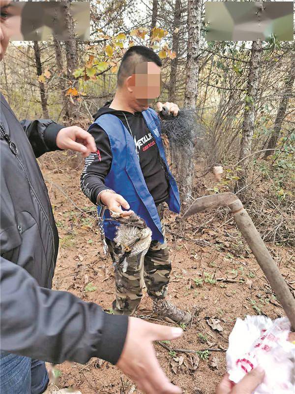 图为捕猎现场拆除粘网.图为粘网,电子诱鸟器,弹弓等捕鸟工具.