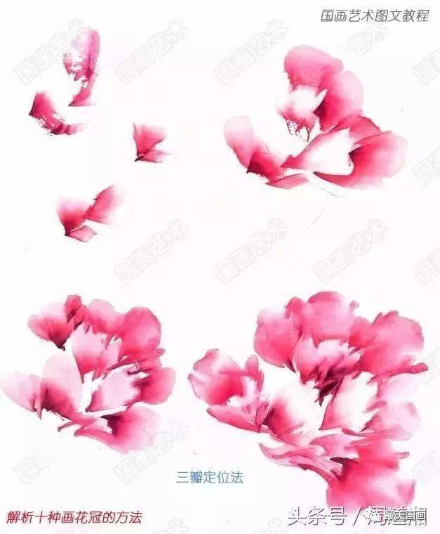 非常实用的十种牡丹花冠的画法~(史上最全教程!