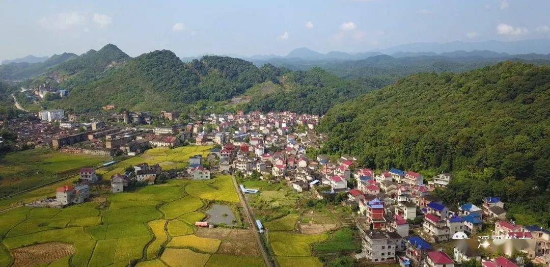 寿安镇:用好乡创制度金钥匙,开启乡村振兴新篇章