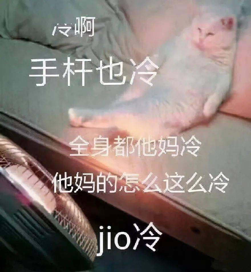斗图表情包合集来根华仔