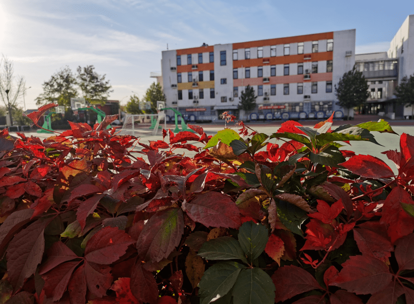 最美的秋天在校园北京中小学最全秋景大赏来了