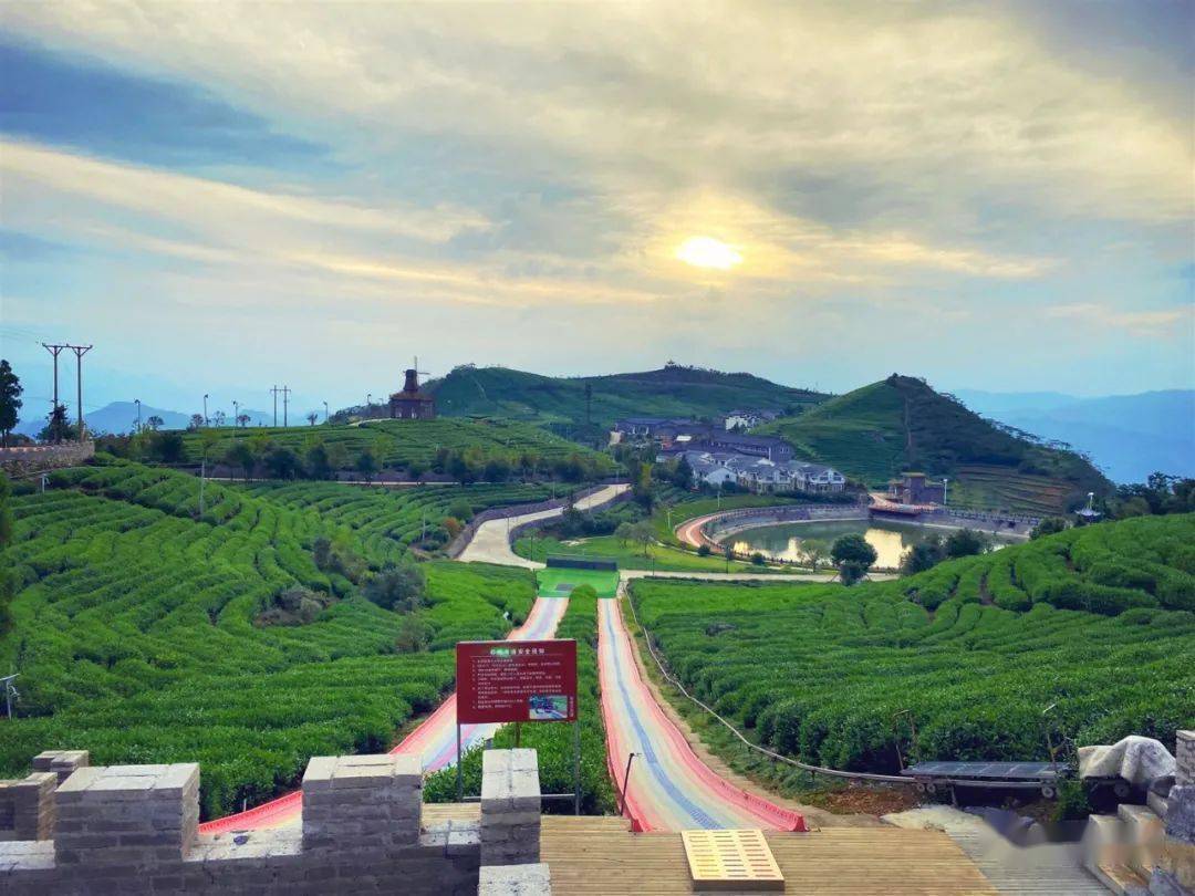 万亩茶园空气超赞,茶叶还能做菜,这是一座什么宝藏茶山?