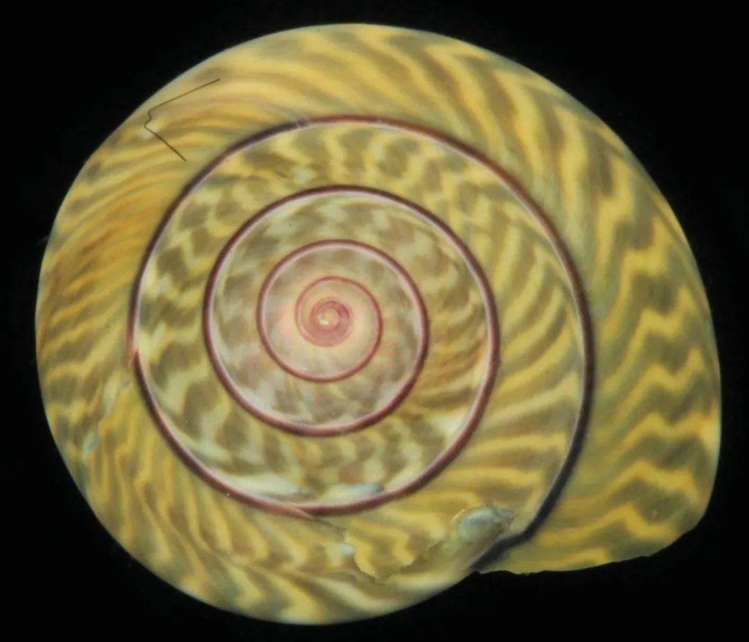 海洋科普主题展走近海洋感受申蓝