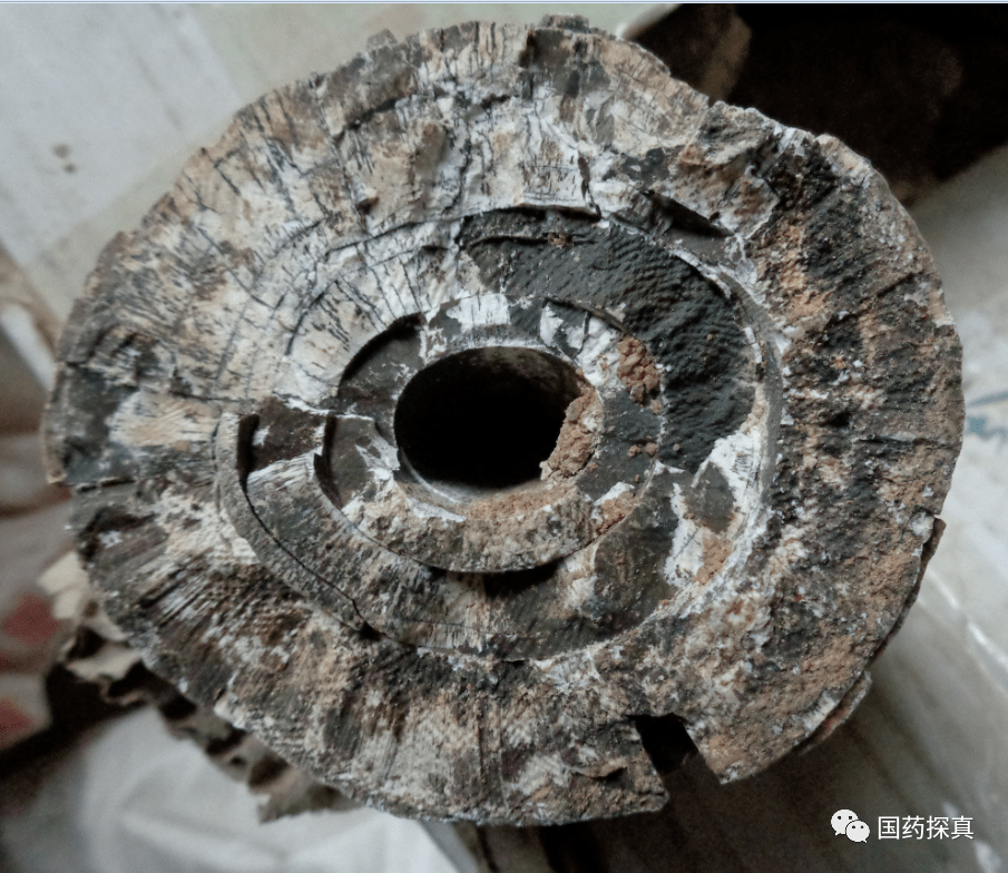 ▼龙齿五花龙骨(象牙类断面)▼龙齿五花龙骨(骨质类断面)▼龙齿五花