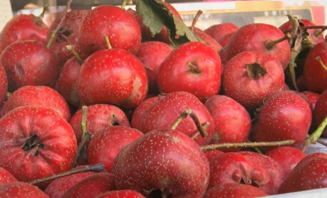 美食淄博秋季养生健康吃山楂