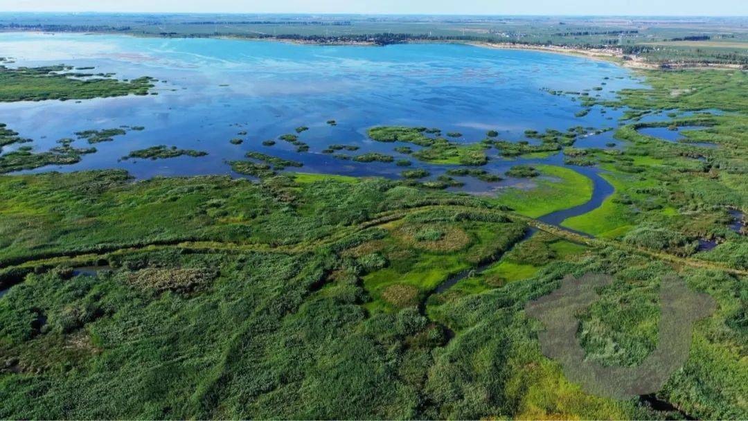 这里最好玩全球候鸟迁徙3号路线就在新疆的这里