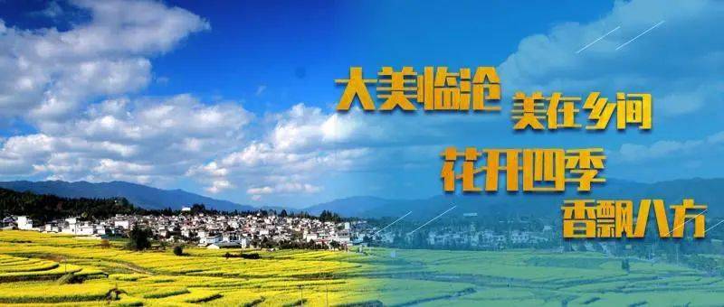 临沧市发布大美临沧美在乡间花开四季香飘八方宣传片