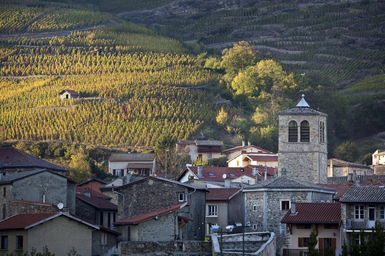 欧洲历史名人与罗纳河谷葡萄园的那些事