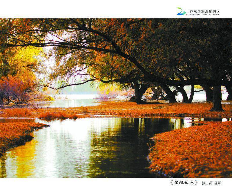 兰州翠湖生态园图片