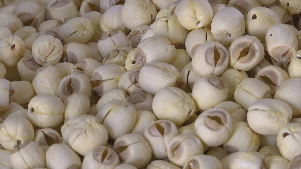 愁坏了泰宁大田乡8000余斤莲子滞销求帮助满意在三明