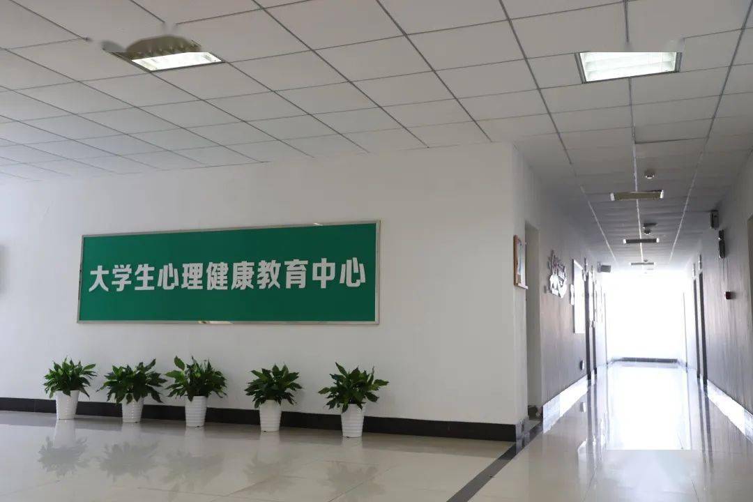 全新上线啦也就是心理咨询中心经过升级改造后的大学生心理健康教育