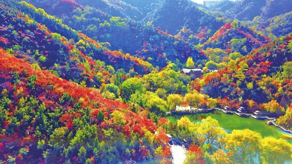 比欧洲更欧洲的木结构建筑群,与浪漫的"枫"景相互映衬,相得益彰,美不