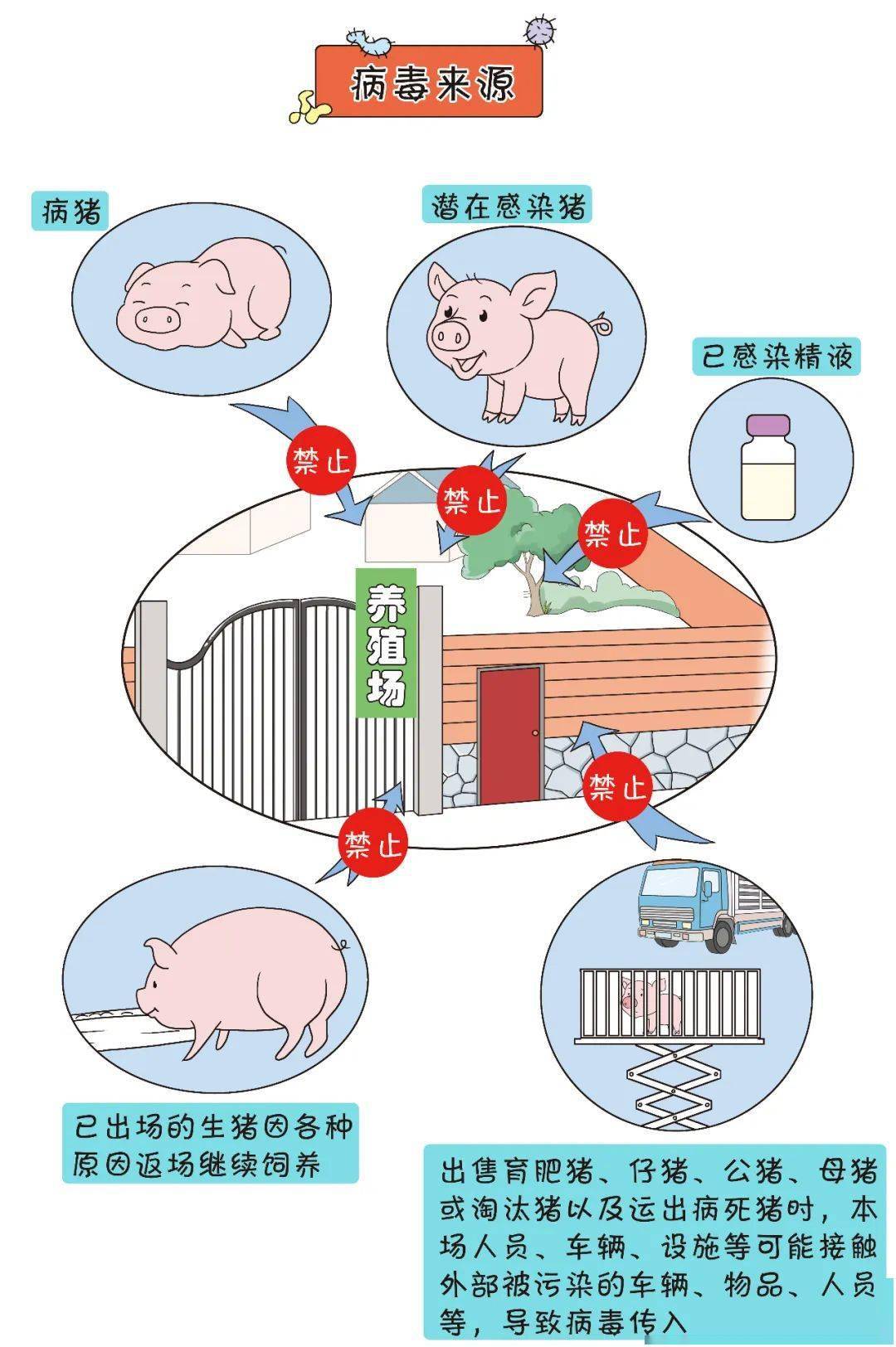 【微漫谈】中小养猪场户非洲猪瘟防控关键风险点
