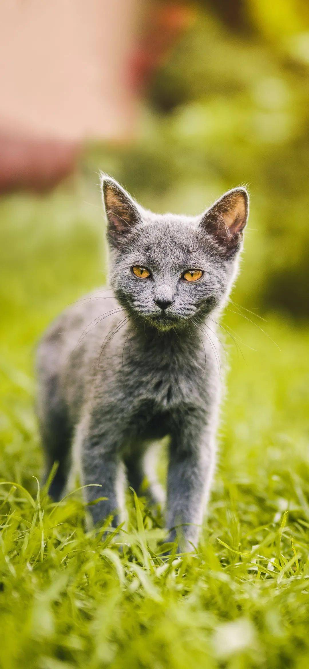 全面屏壁纸高清抖音壁纸潮图