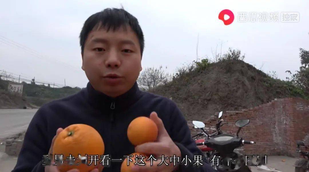 我的家乡我来代言,"型男行走乡村"2年销售水果超600万斤_袁勇