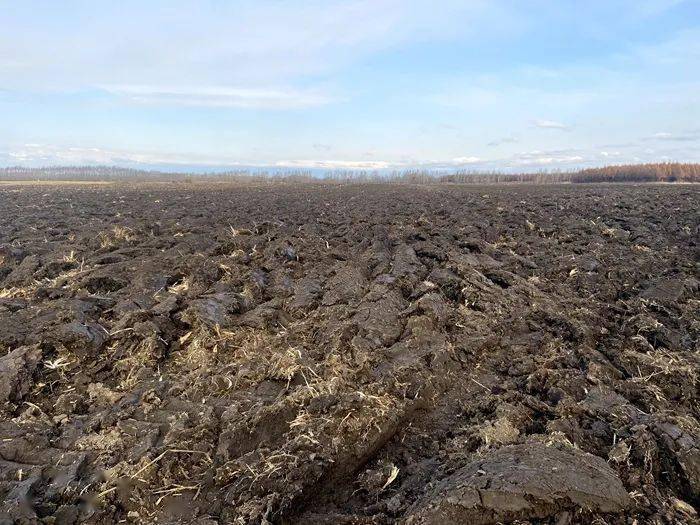 八五〇农场有限公司全面积完成秋翻地工作