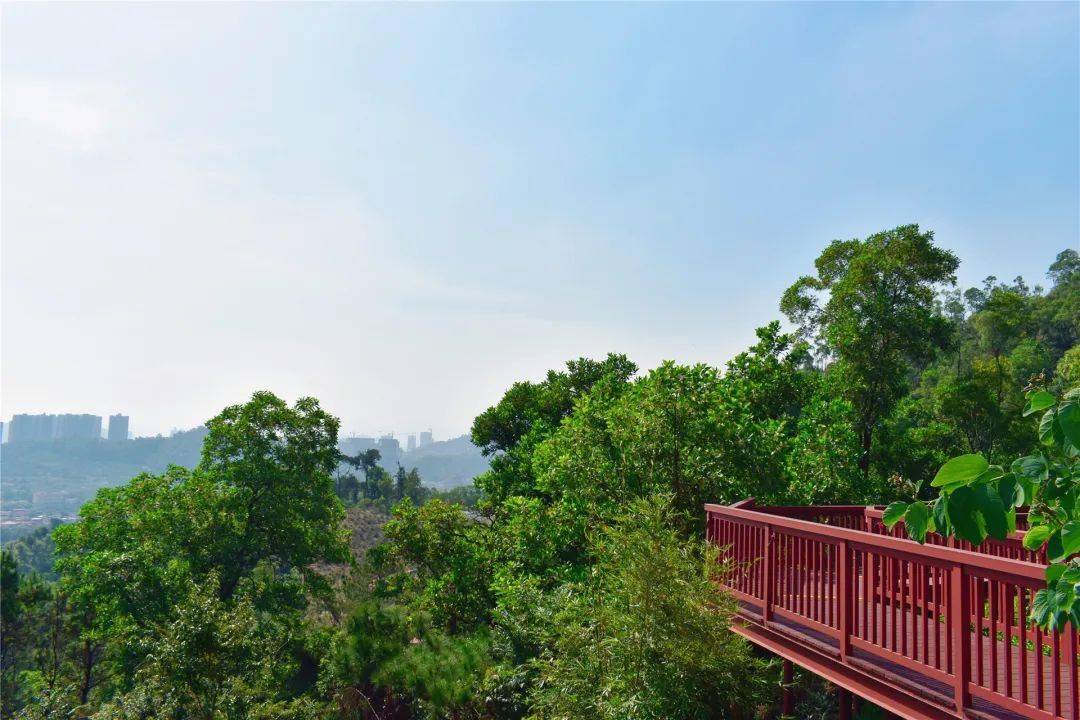 秋高气爽是时候来犁头尖山爬山啦