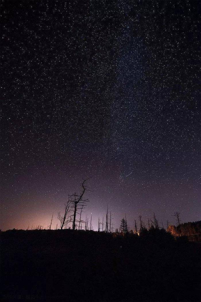 静夜意境图片