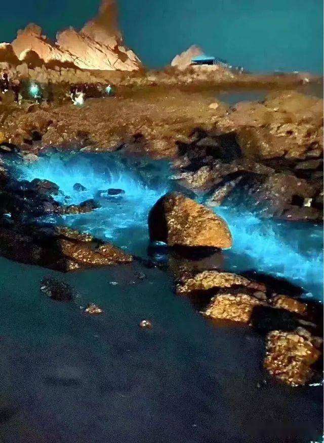 荧光海全世界只有7处如今葫芦岛有幸也能观赏这第8处奇观