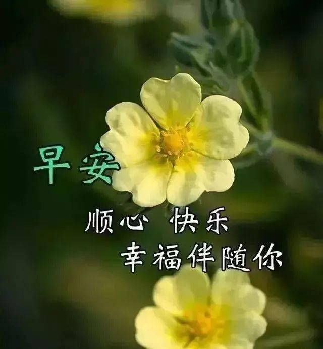 10月31日早晨好动态表情包每日清晨问候语暖心图片大全