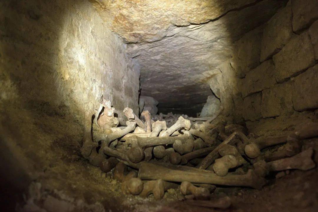 《地下墓穴》剧照作为一部恐怖片,除了常用的jump scare手法之外,在