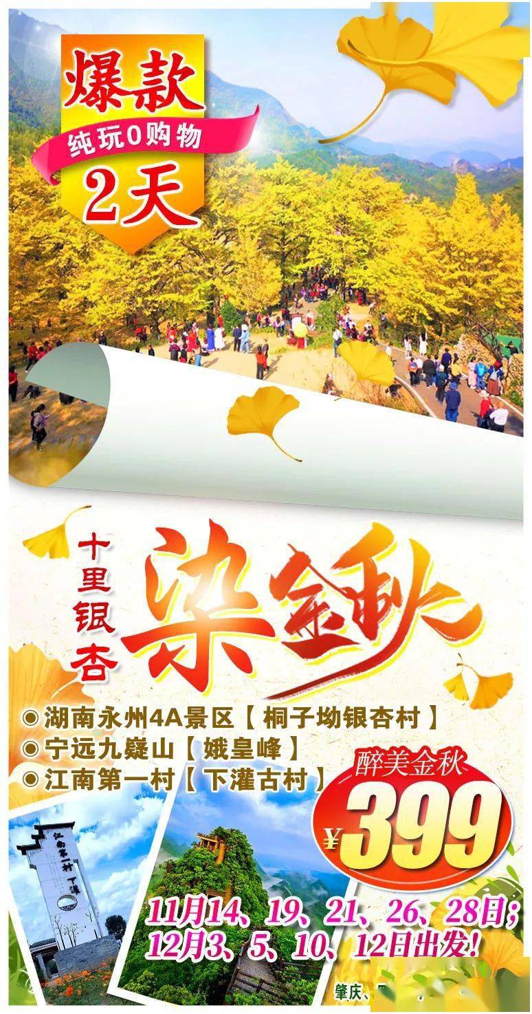 11月21号自组纯玩团十里银杏染金秋湖南永州4a景区桐子坳银杏村宁远九