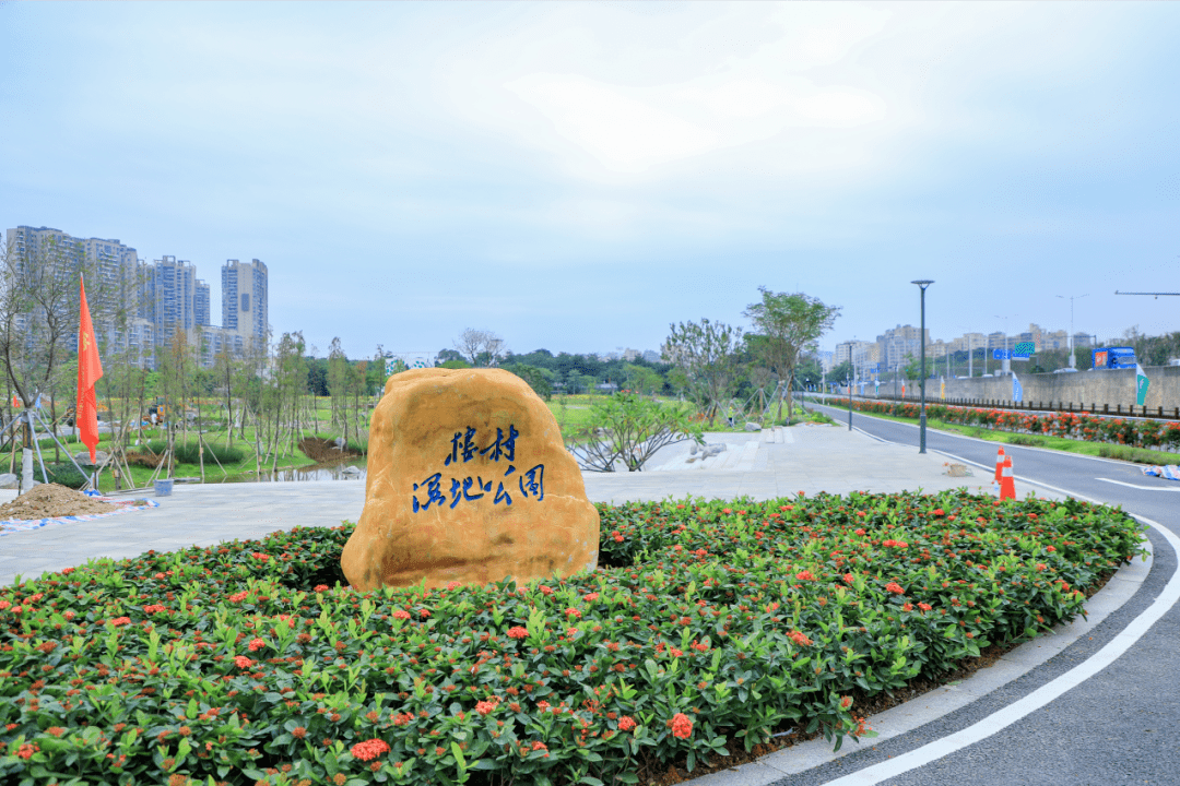 发现光明治水景观楼村湿地公园明湖映天光花径起香尘
