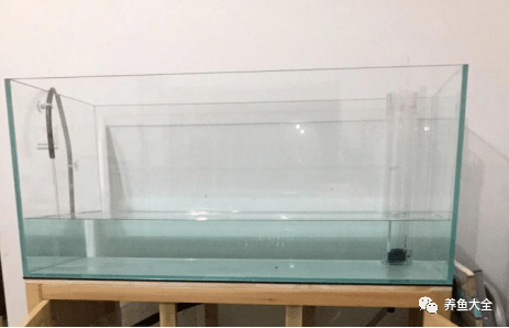 自制鱼缸孵化盒图片