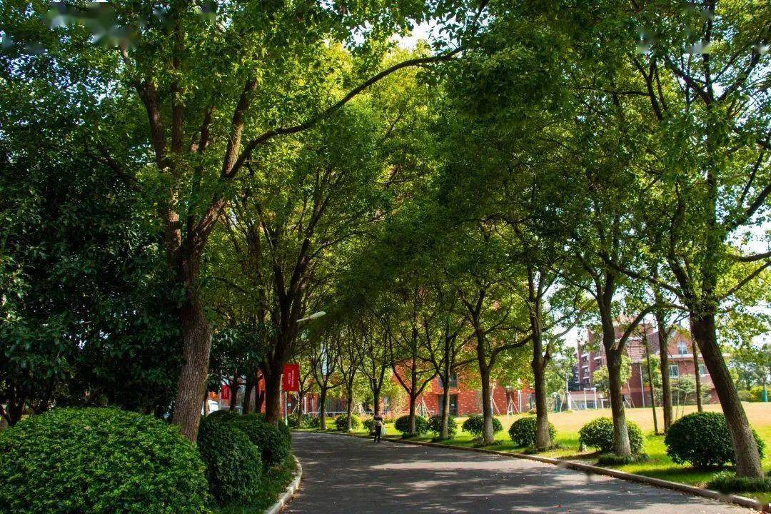 上海建橋學院上海視覺藝術學院上海師範大學天華學院池殘寥落水,轉眼