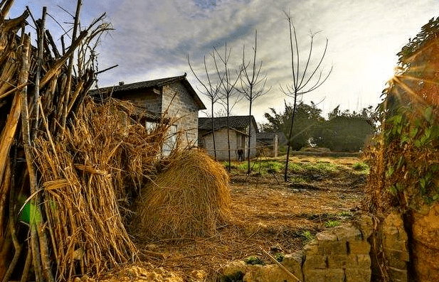 海安人,宅基地可以继承给子女后,需要什么手续?看这里···_农村