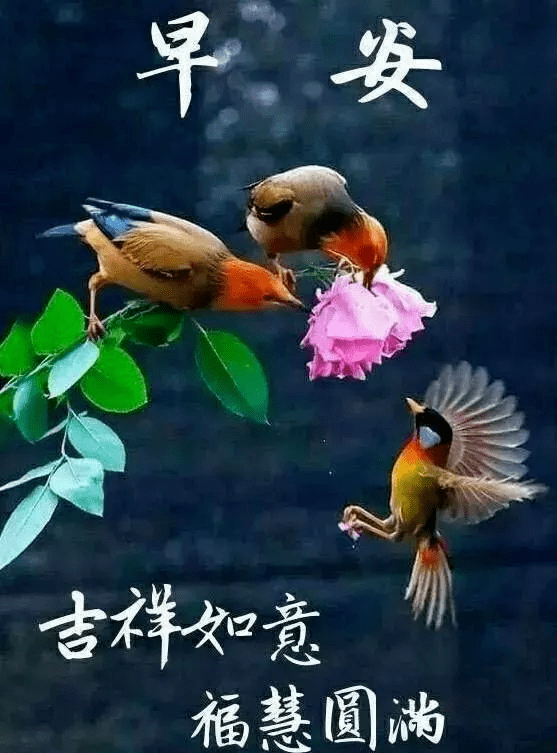 十一月早上好问候语图片大全十一月新版早安祝福语带图片表情