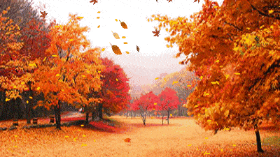 阅读十月再见十一月你好