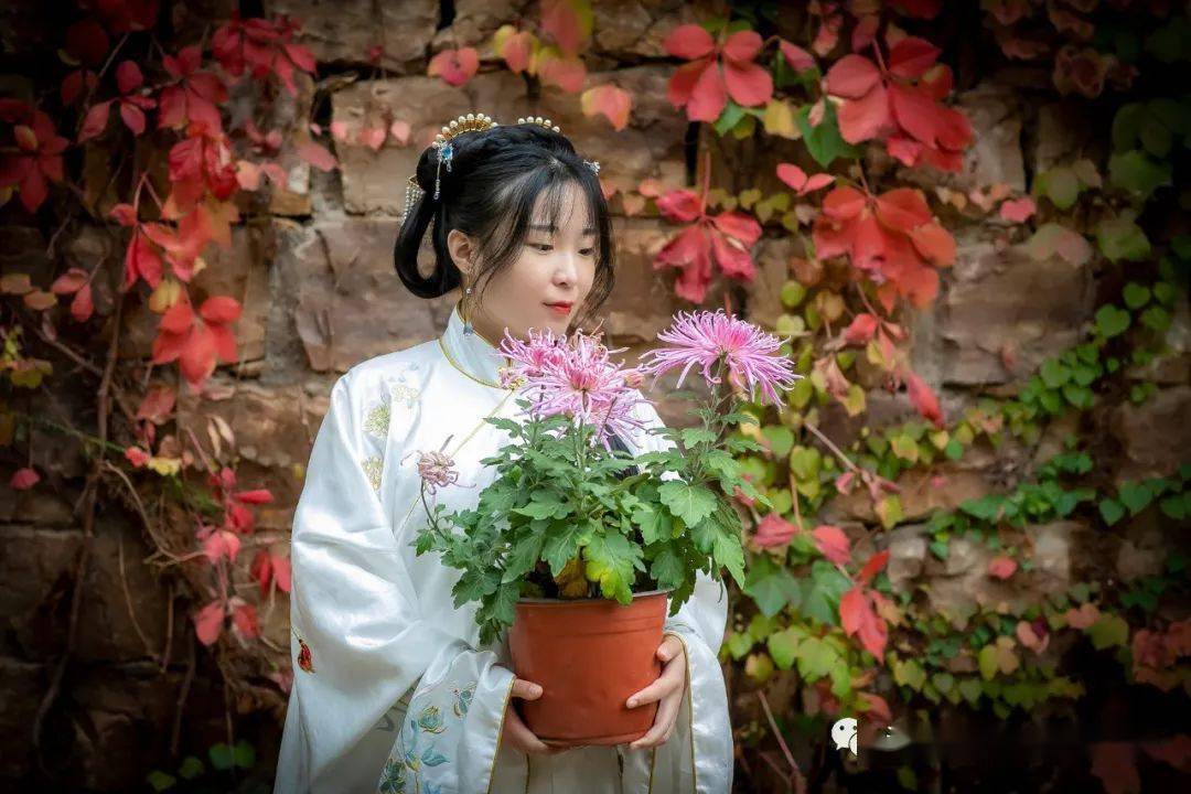 1,唐·黄巢题菊花 飒飒西风满院栽, 蕊寒香冷蝶难来 他年我若为青帝