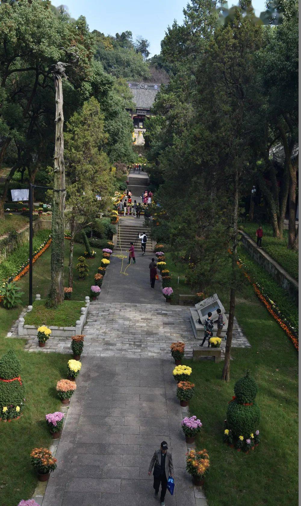 绍兴图说府山越王台菊展