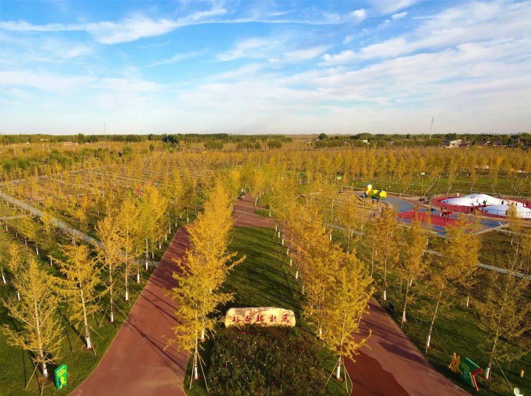 这个季节大厂美得不行啦